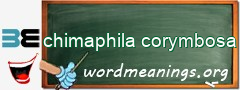 WordMeaning blackboard for chimaphila corymbosa